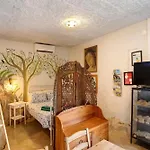 Quinta Do Castelo - Casa De Pedra Kır Evi *