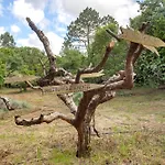 Kır Evi Quinta Do Castelo - Casa De Pedra Reguengo Grande