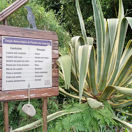 Quinta Do Castelo - Casa De Pedra Casa de Campo Reguengo Grande