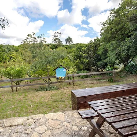 Casa de Campo Quinta Do Castelo - Casa De Pedra Reguengo Grande