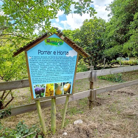 Quinta Do Castelo - Casa De Pedra Villa Reguengo Grande