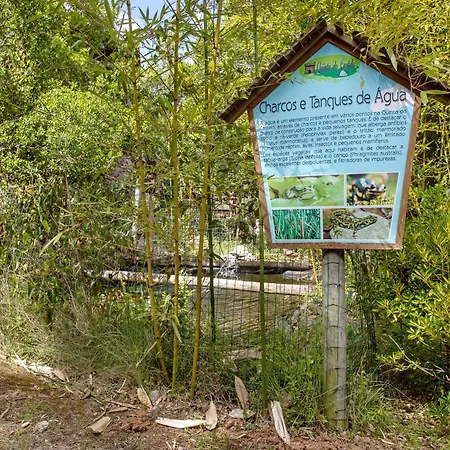 Casa de Campo Quinta Do Castelo - Casa De Pedra Reguengo Grande