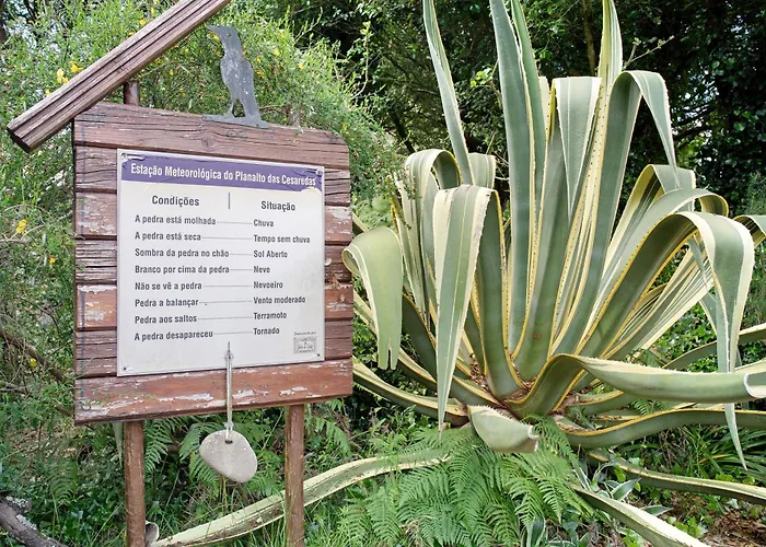 Quinta Do Castelo - Casa De Pedra Séjour à la campagne Reguengo Grande