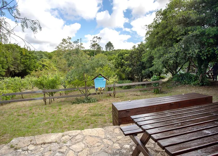 Séjour à la campagne Quinta Do Castelo - Casa De Pedra Reguengo Grande