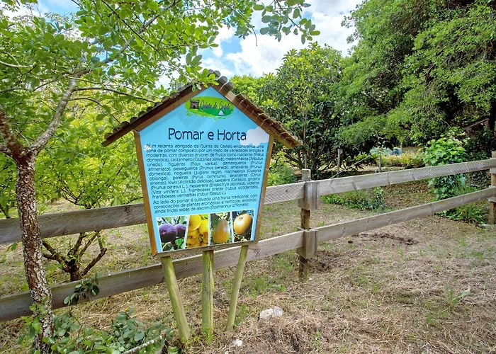 Quinta Do Castelo - Casa De Pedra Landhaus Reguengo Grande