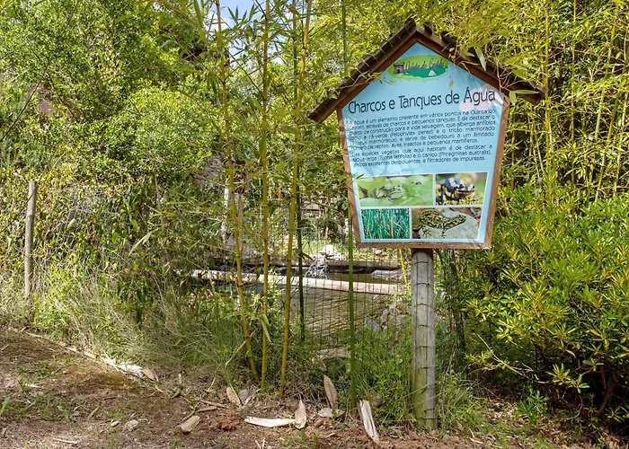 Séjour à la campagne Quinta Do Castelo - Casa De Pedra Reguengo Grande