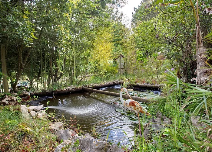 Landhaus Quinta Do Castelo - Casa De Pedra *