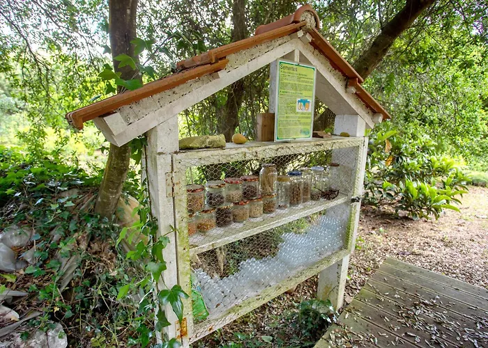 Quinta Do Castelo - Casa De Pedra *