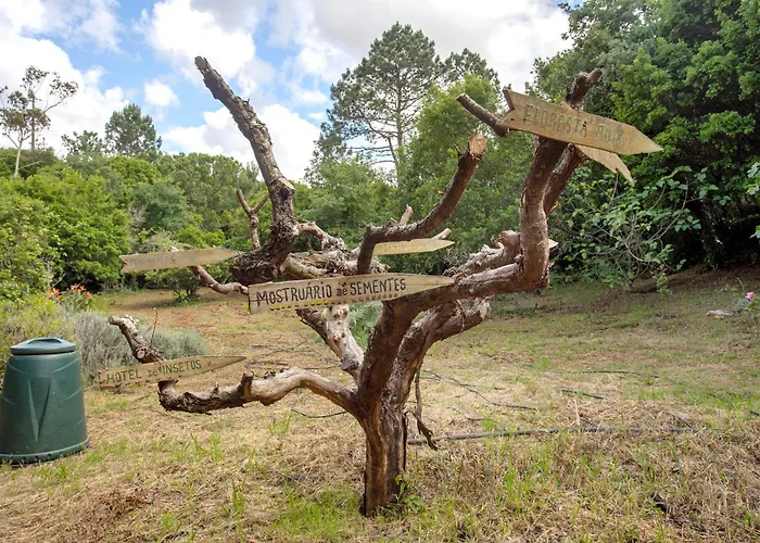 Landhaus Quinta Do Castelo - Casa De Pedra Reguengo Grande